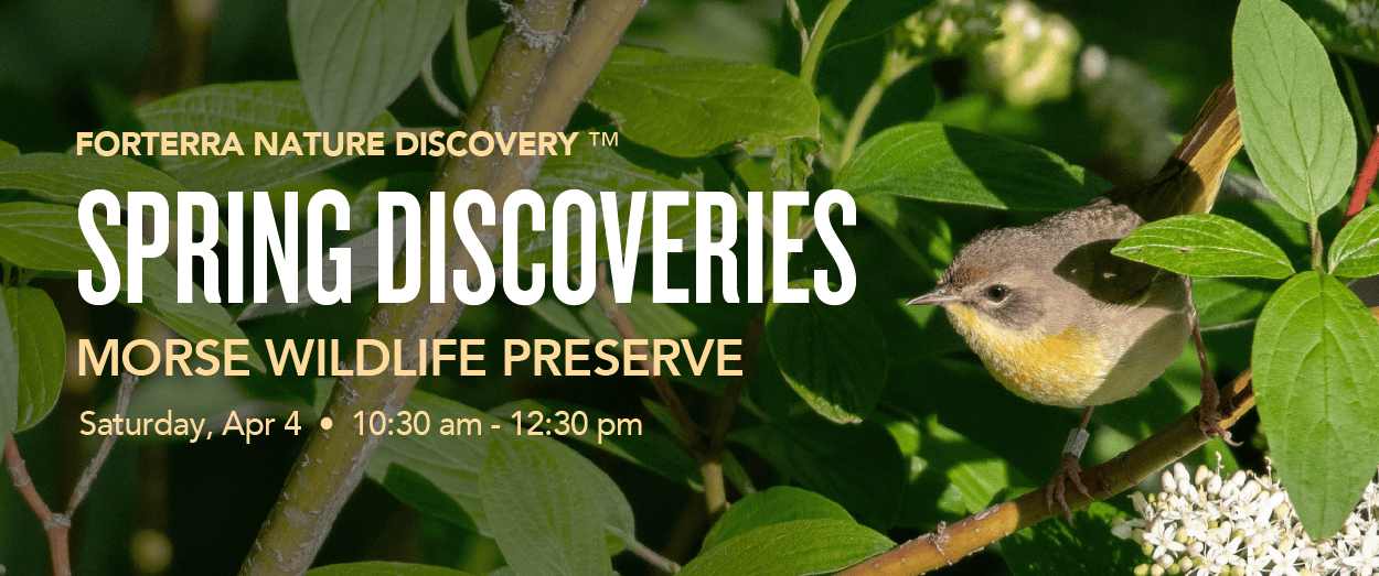 A banner promoting Forterra Nature's Discovery Program for April 2026.