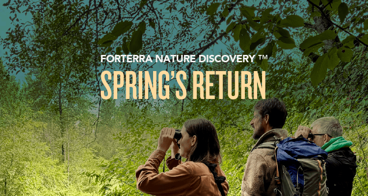 FNW337d FND 2026 – Mar – Springs return 2 A banner promoting Forterra's Nature Discovery Program.