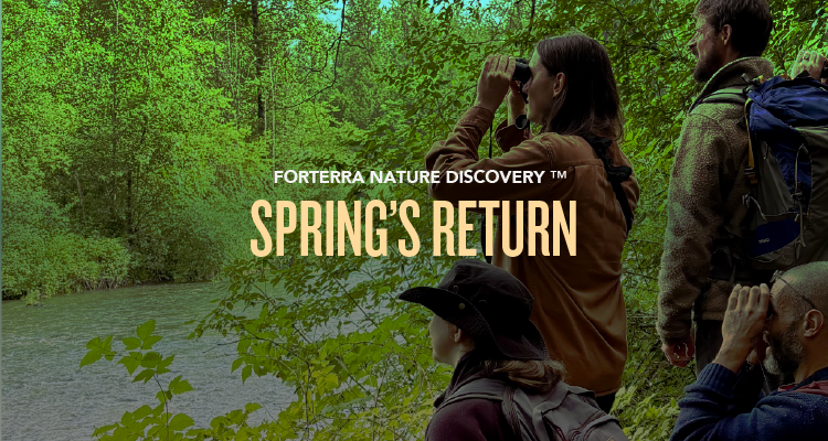 A banner promoting Forterra's Nature Discovery Program.