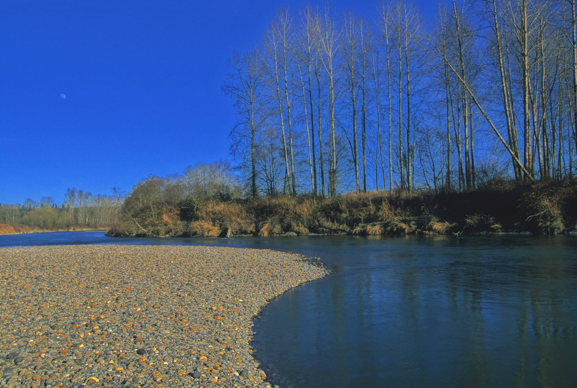 A picture of Lower Stillaguamish River by Todd Parker.