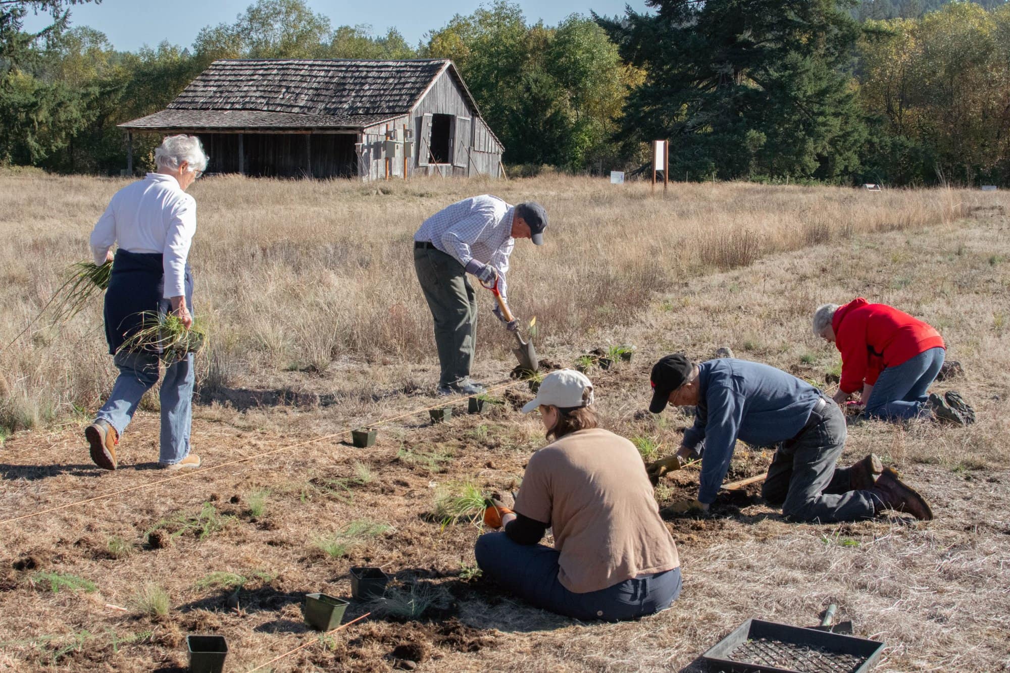 The hidden challenges of stewardship