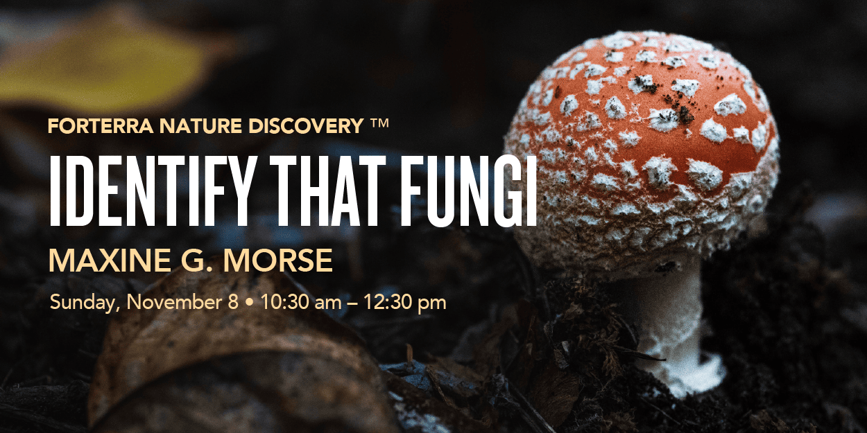 A banner promoting Forterra's Nature Discovery Event.