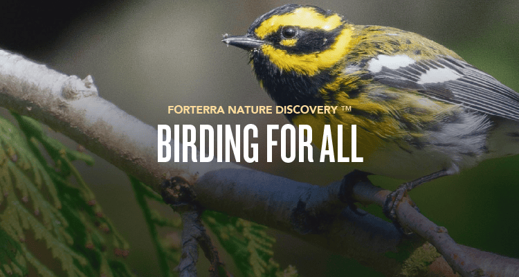 A banner promoting Forterra's Nature Discovery Event.