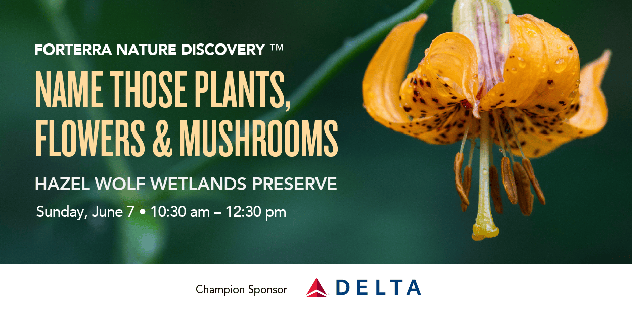 A banner promoting Forterra's Nature Discovery Event.