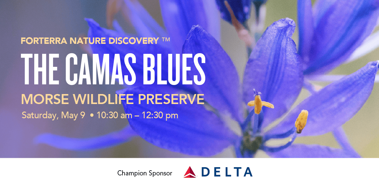 A banner promoting Forterra's Nature Discovery Event.