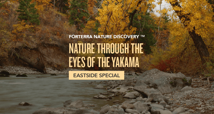 A banner promoting Forterra's Nature Discovery Event.