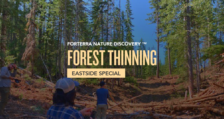 A banner promoting Forterra's Nature Discovery Event.