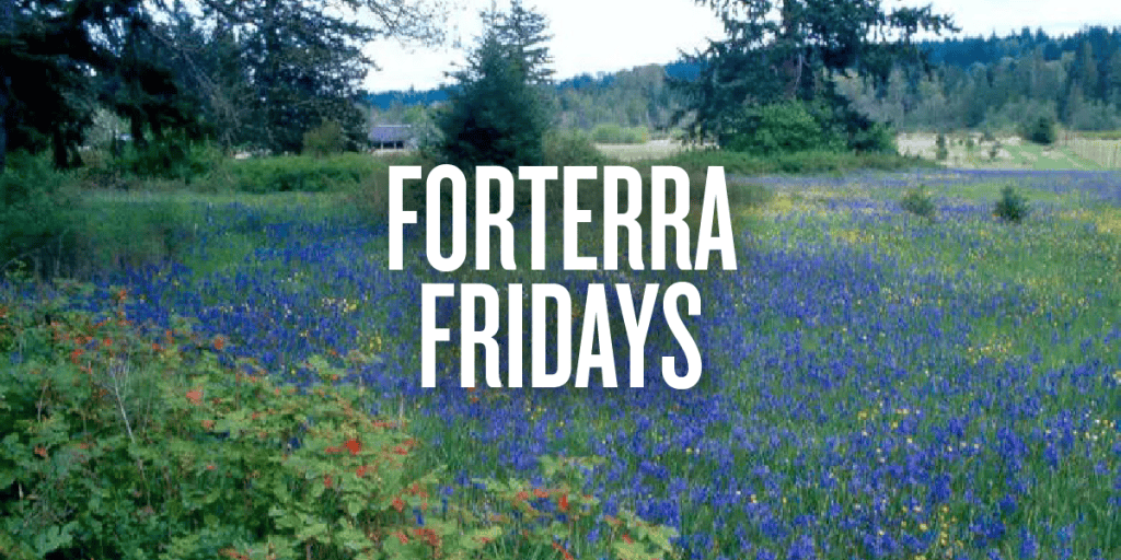 A banner promoting Forterra Fridays event.