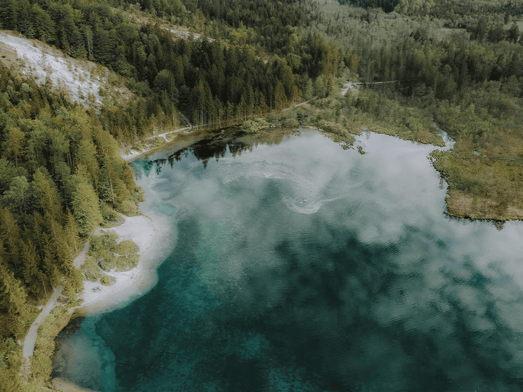 Lake view from above, surrounded by a forest