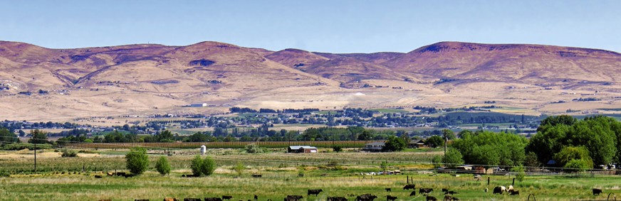 Frog's Home panoramic view