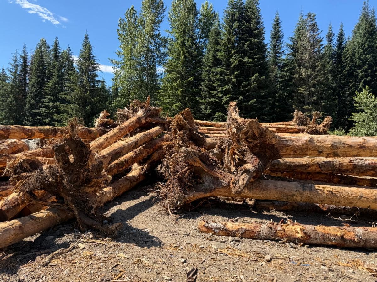 August 2026 Newsletter