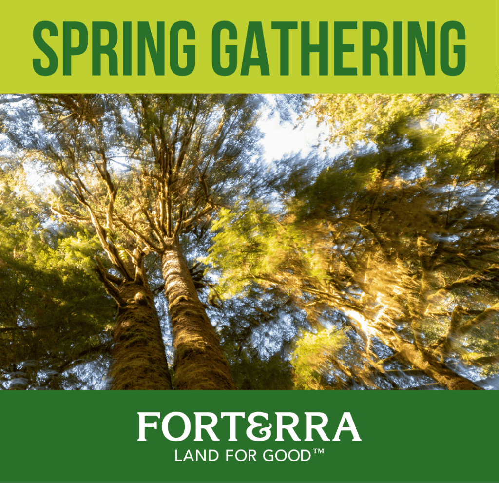 The event banner headline reads "Spring Gathering" and features a tree canopy photograph by Spike Mafford. The Forterra logo is also featured.
