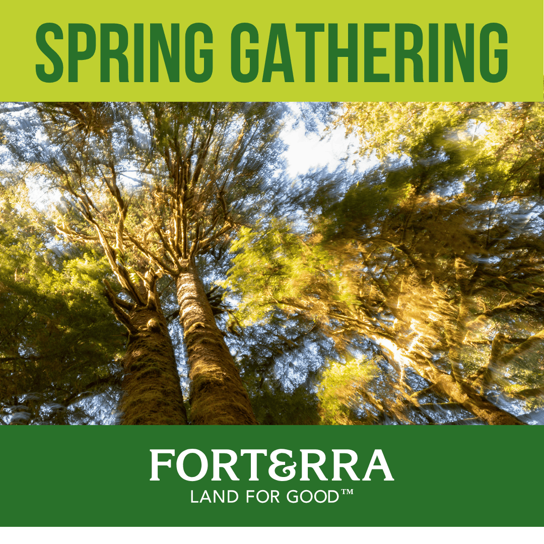 The event banner headline reads "Spring Gathering" and features a tree canopy photograph by Spike Mafford. The Forterra logo is also featured.