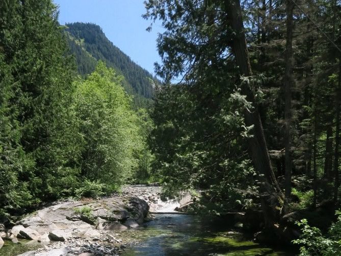 A beautiful landscape photo of the Rockdale Property where Forterra Land Trust recently completed conservation efforts.