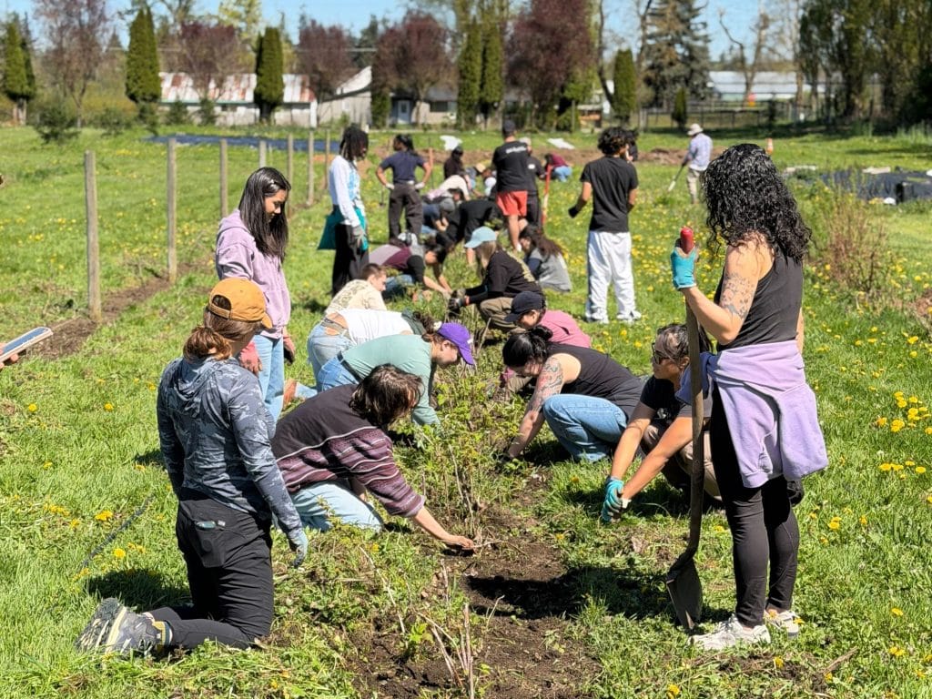 Community Restoration Grant Award Supports the Service Board's Youth Programs