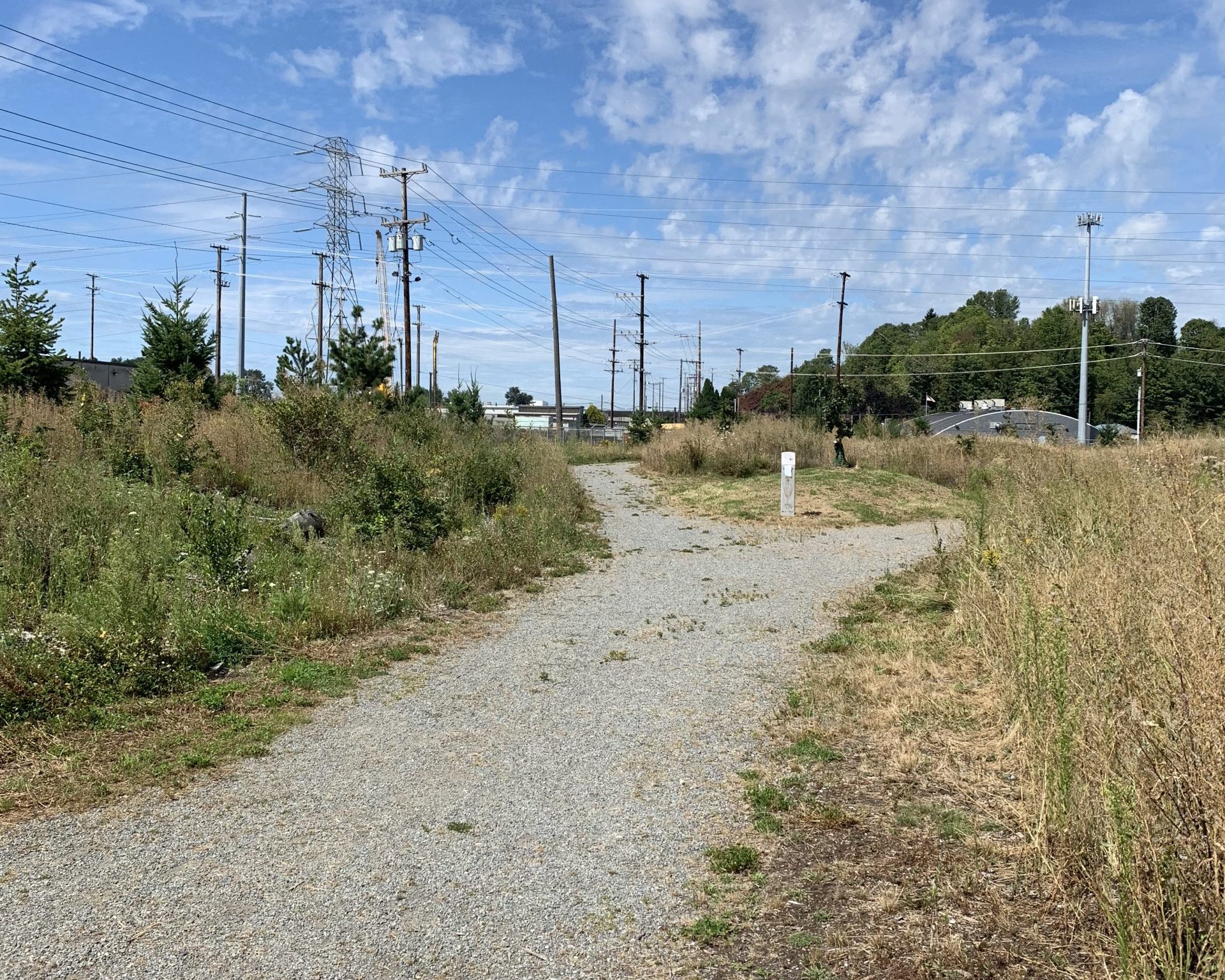 One of Forterra's volunteer work areas, located at Duwamish Hill Preserve, a Tukwila park providing critical wildlife habitat and public trails in the middle of an industrial area.