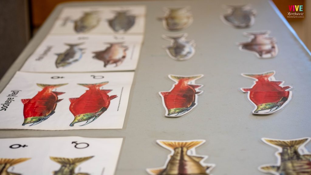 Salmon Saturdays education activity featuring cut outs of different salmon species courtesy of VIVE Northwest