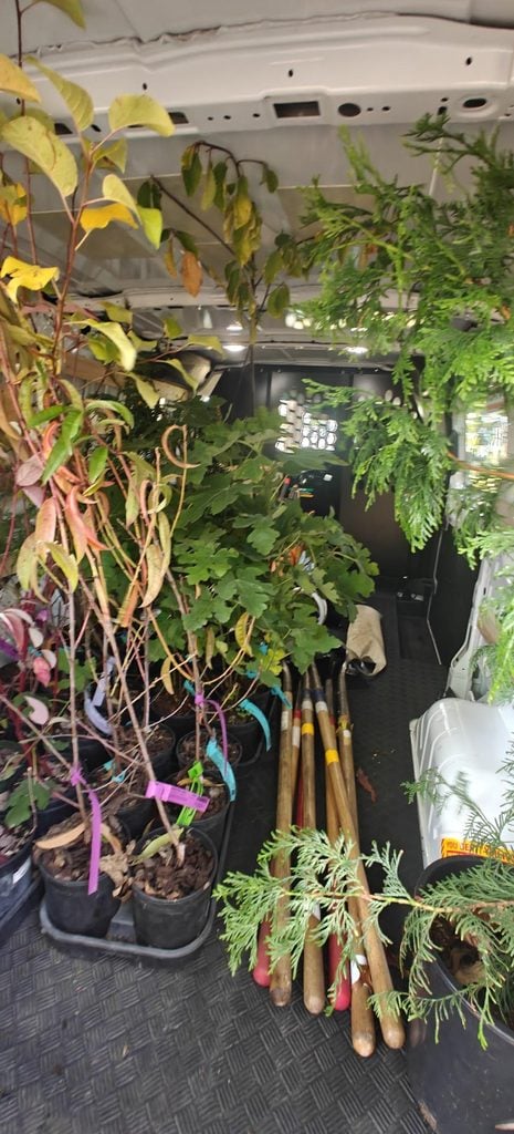 Volunteers planted tree saplings like Douglas-fir and Western redcedar on the grounds of the historic Camp Kilworth. The event was hosted by Forterra partner Nosotros en Naturaleza in October 2026.